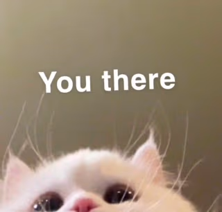 You_There emote