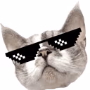huchu_cool emote