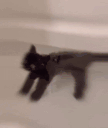 soaking