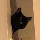 CE_Peek emote