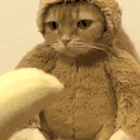 PogTasty animated emote