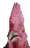ChickenYap animated emote