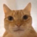 WhoAsked emote