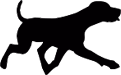 dog emote