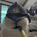 warden emote
