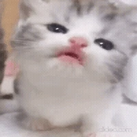 formygirlfriend4 emote