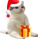 catsittingverycomfortable emote