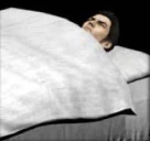 damedamimimimi emote