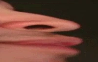 pokeTaste emote