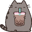 bobacat emote