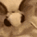 MothJam