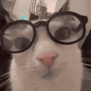 nerm emote