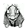 gifTG_Boop emote