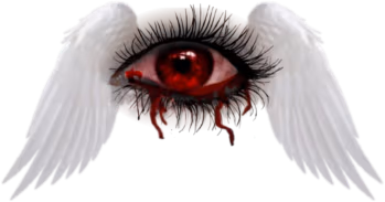 eye_wings emote