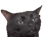 Interesting emote