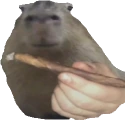 carpincho emote