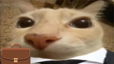otagBusiness emote