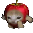 applecat emote