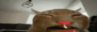 buhOverShakeyFlipExplode emote