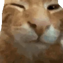 buhbye emote