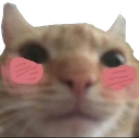 swagblush2 emoji