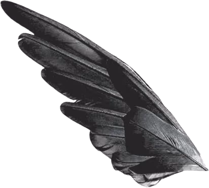 goth_feathers emote