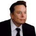 elonstaring emote