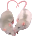 ratlove emote