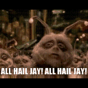 Hail_jay