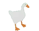 gooseBop emote