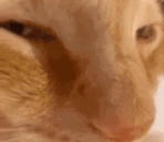 nuh emote