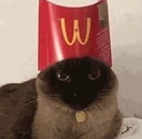 catmcfries emote