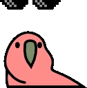 dealwithitnowParrot emote