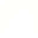 invisibleParrot emote