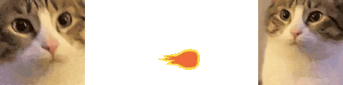 catchompfireball