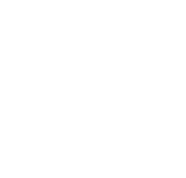 Spotify_Music_Disc emote