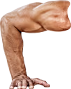 PushUp1 emote