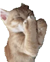 hihihi emote