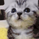 same emote
