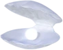 indigoshell emote