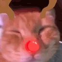 AWOO emote