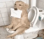 DogShit emote