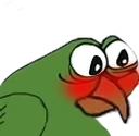 WirdgeShy emote