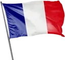 France_flag emote