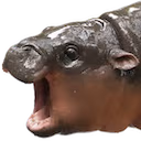 moo_deng emote