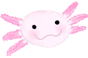 Axolotl emote