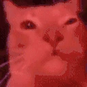 catRave emote