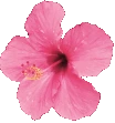 TropicalFlower emote