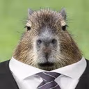 capybaralawyer emote