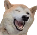 Doggo_wink emote